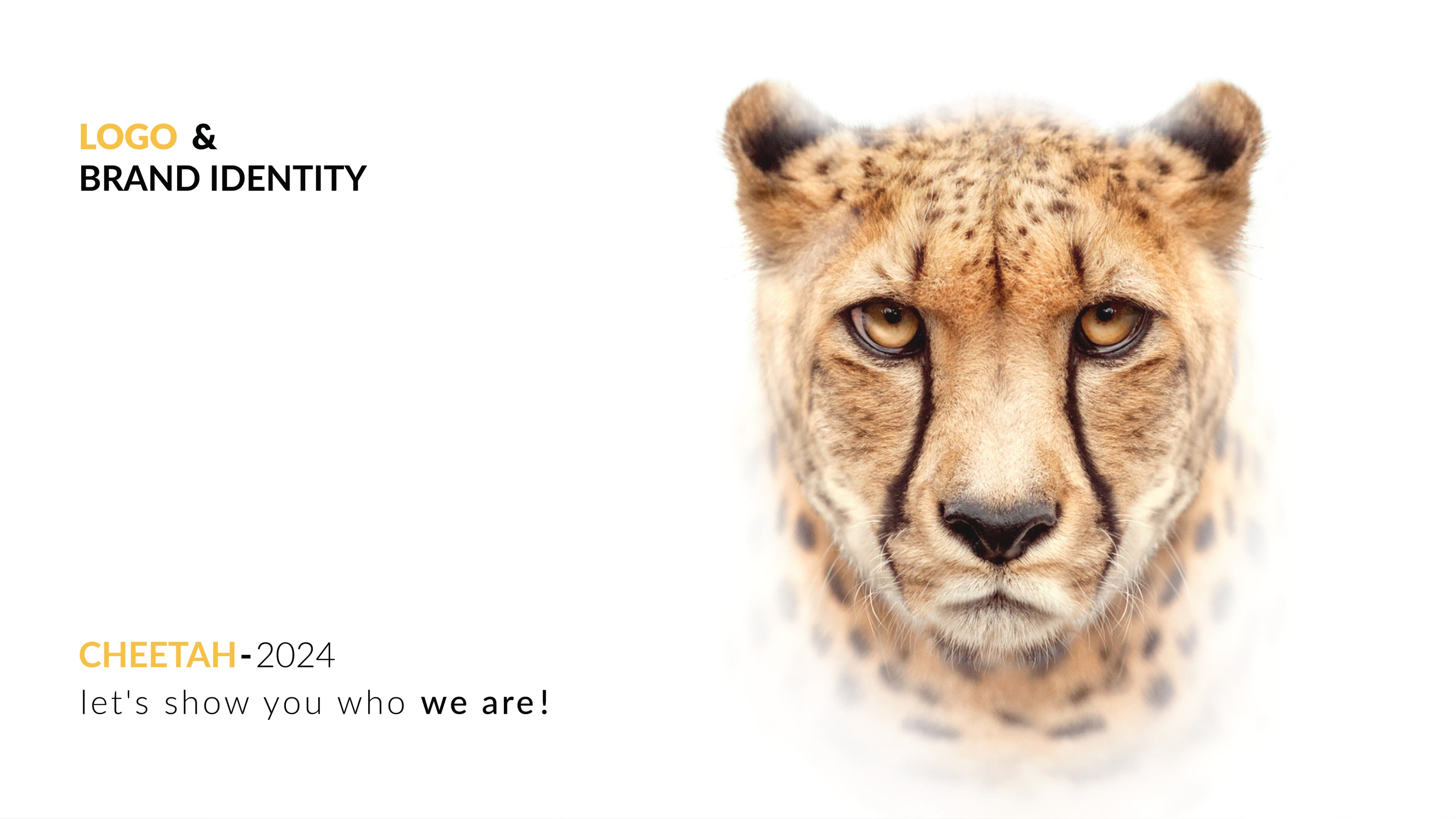 CHEETAH