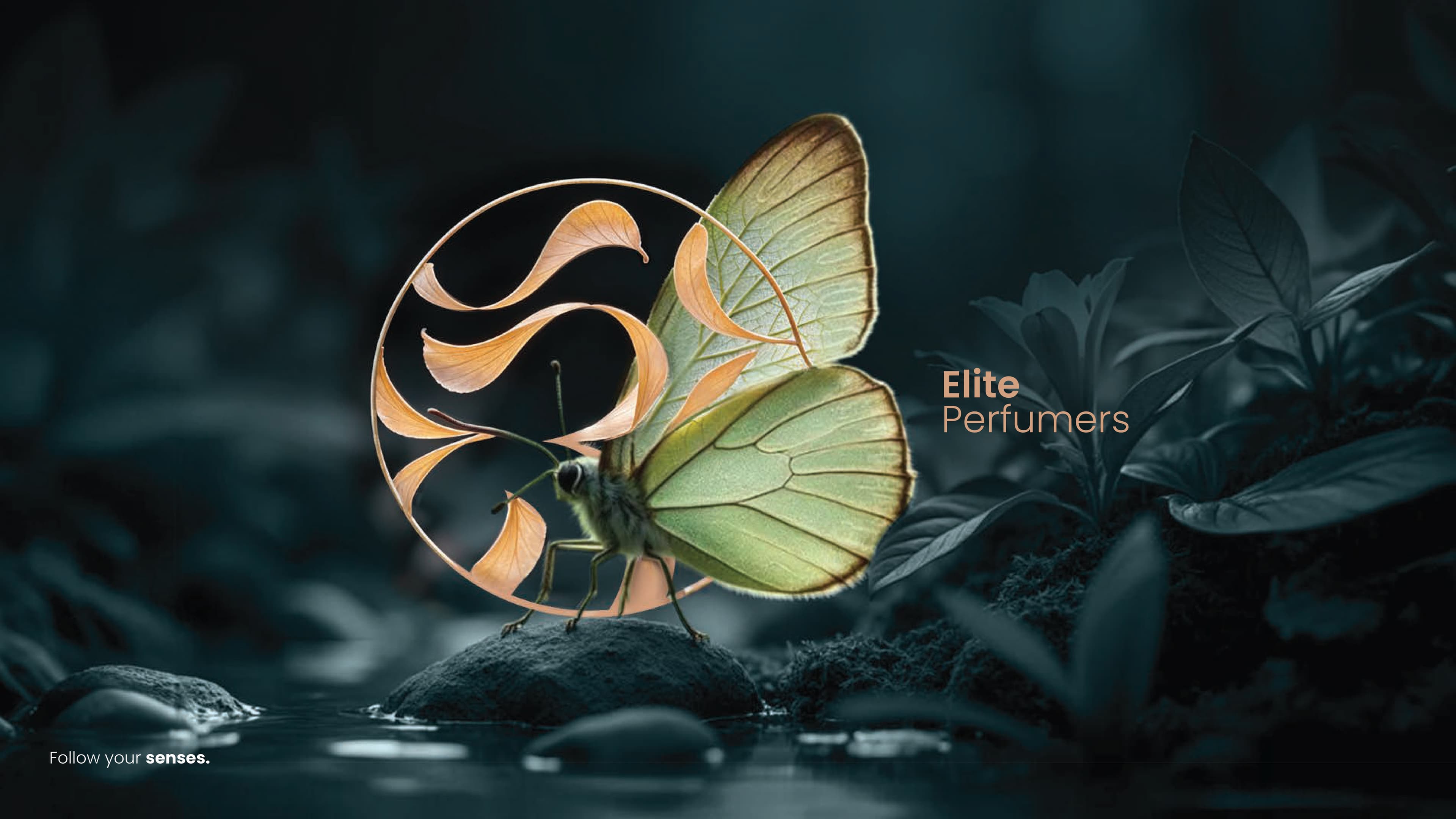 ELITE PERFUMERS