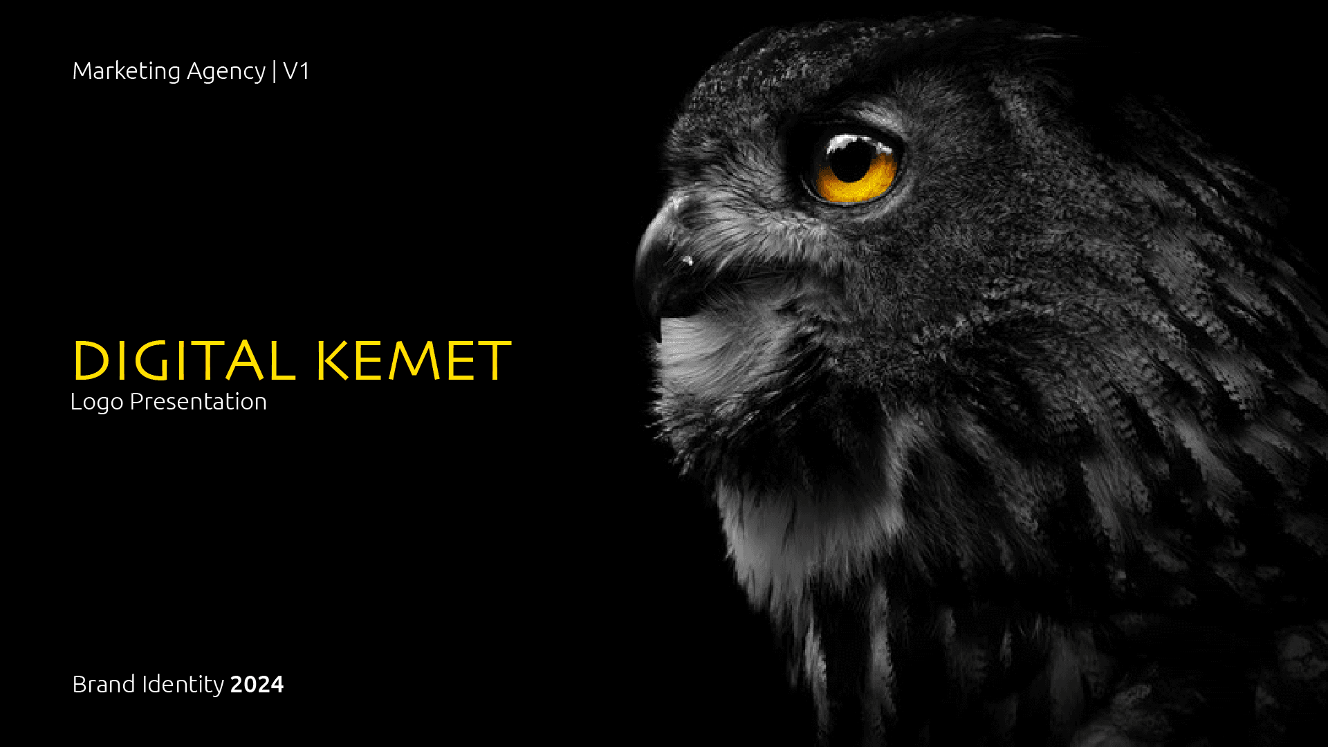 DIGITAL KEMET